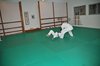 JMB_6639