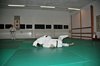 JMB_7918