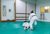 Examen_Vanina_2Kyu_146
