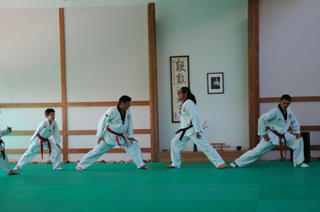 Taekwondo