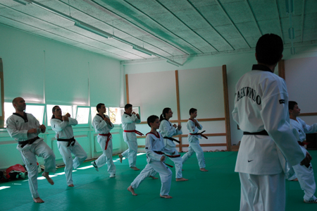 Taekwondo
