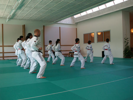 Taekwondo