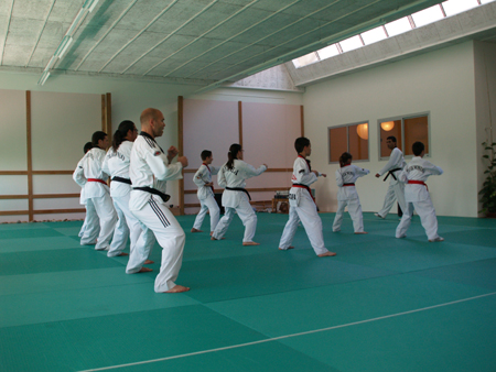 Taekwondo