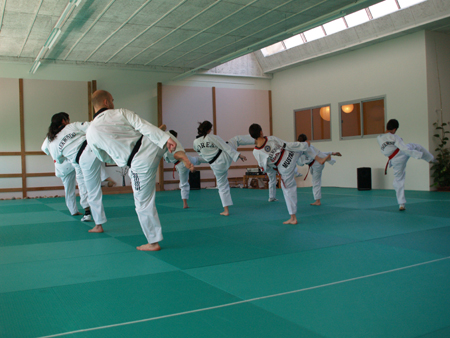 Taekwondo