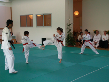 Taekwondo
