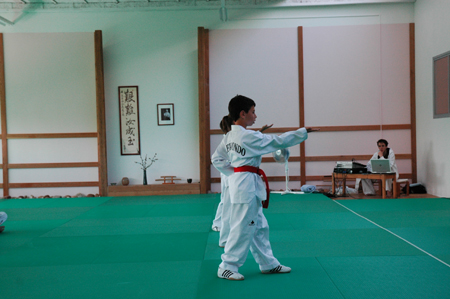 Taekwondo