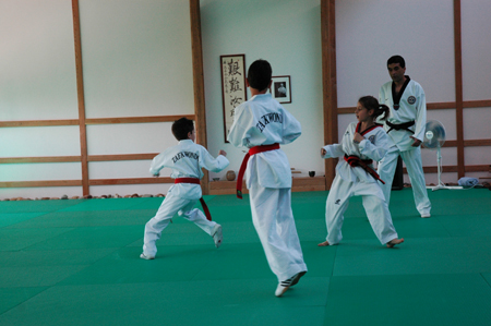 Taekwondo
