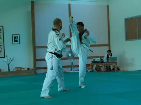 Taekwondo