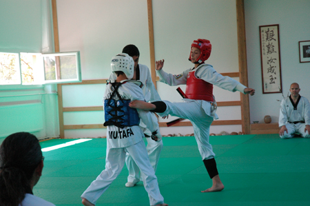 Taekwondo