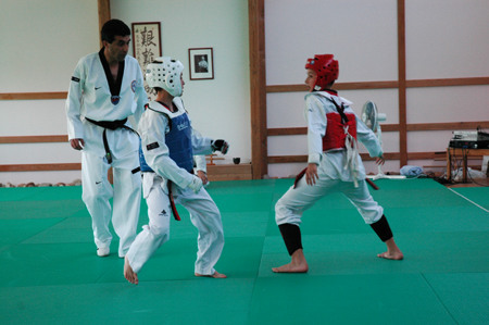 Taekwondo