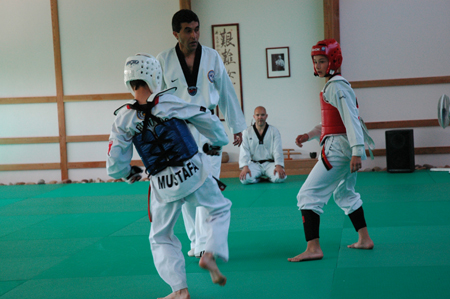 Taekwondo