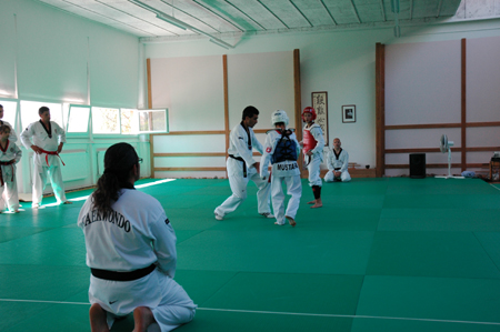 Taekwondo