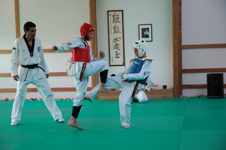 Taekwondo