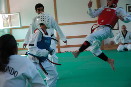 Taekwondo