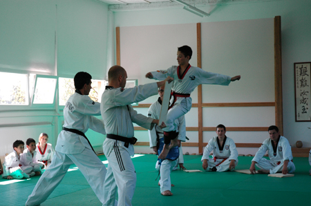 Taekwondo