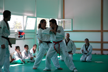 Taekwondo