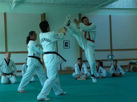 Taekwondo