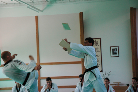 Taekwondo