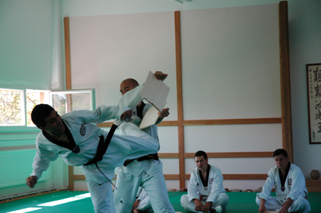 Taekwondo