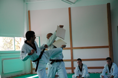 Taekwondo