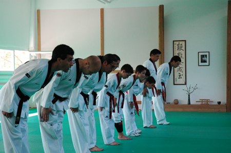 Taekwondo