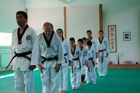 Taekwondo